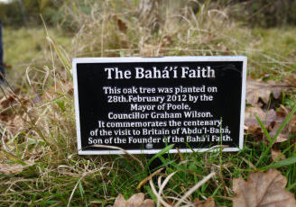 Commemorative Tree at Holton Lee NR