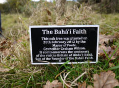 Commemorative Tree at Holton Lee NR